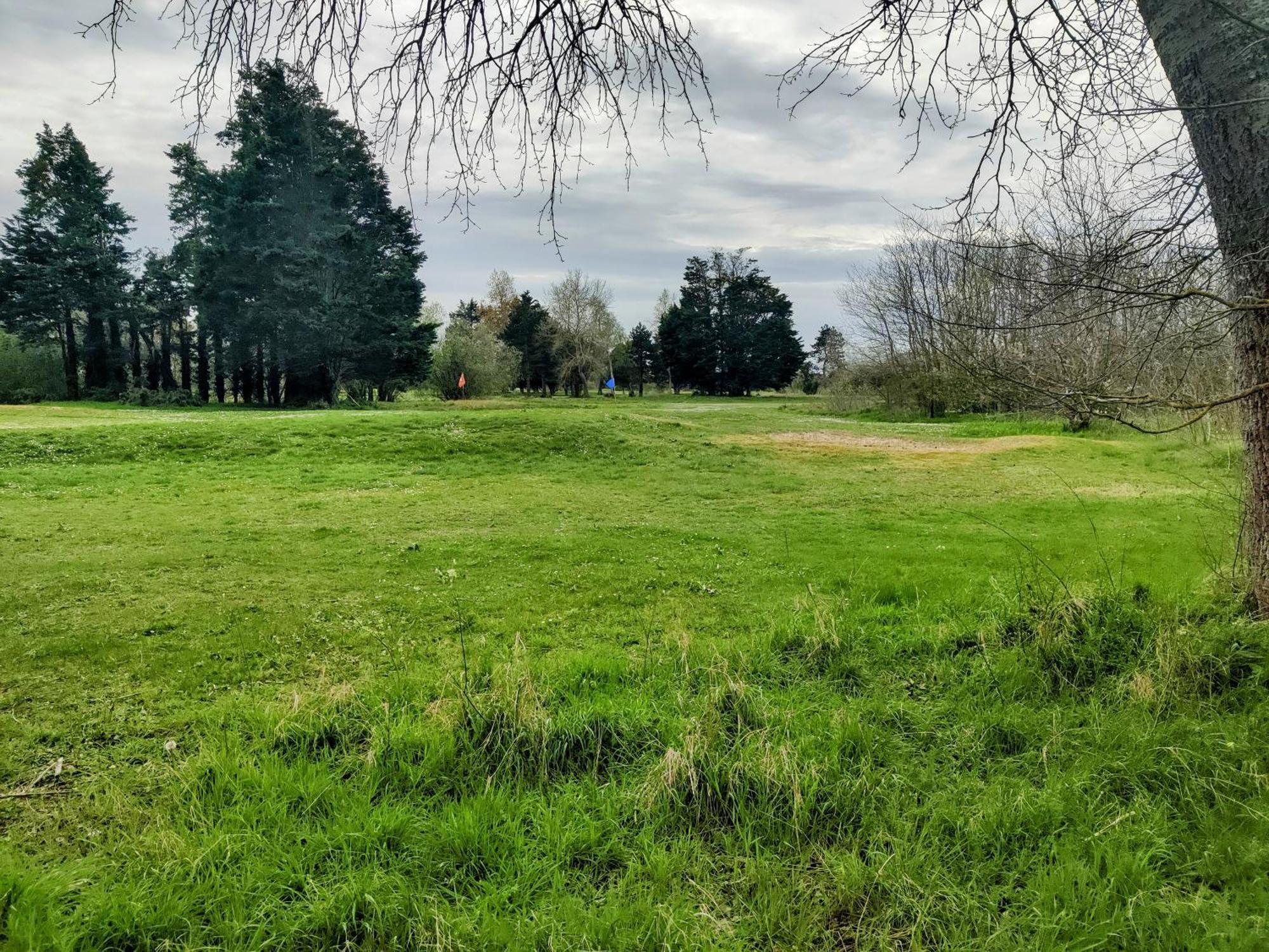 Ravissant Cottage Avec Jardin, Refait A Neuf, 2 A 5 Pers Cabourg Esterno foto